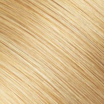 14/22 - Golden Blonde