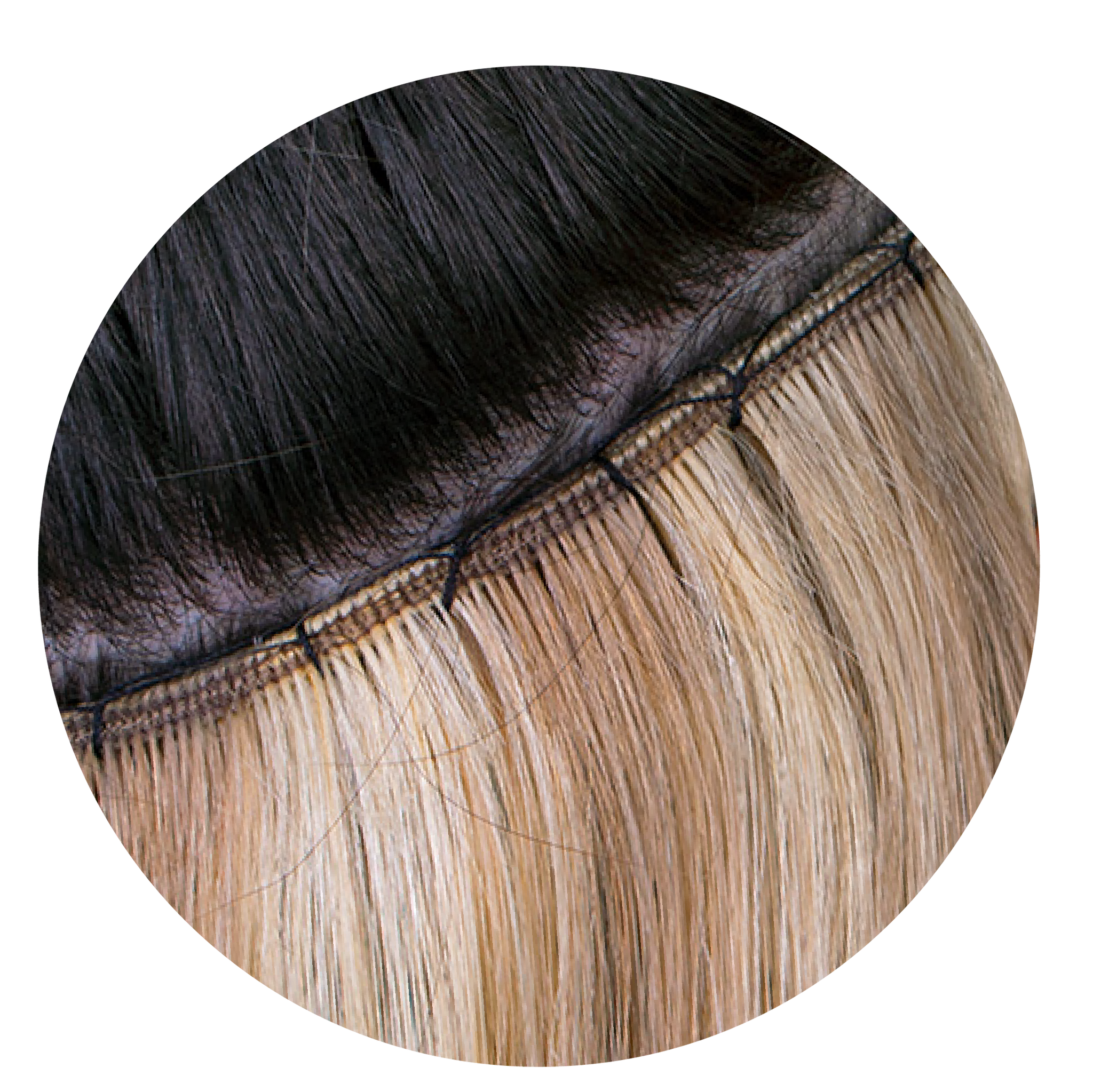 Close-up of Classic Weft extensions applied on head