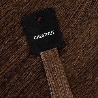 6 - Chestnut