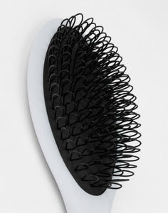 THS Loop Brush
